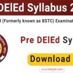 Pre DElEd Syllabus 2024 PDF Rajasthan